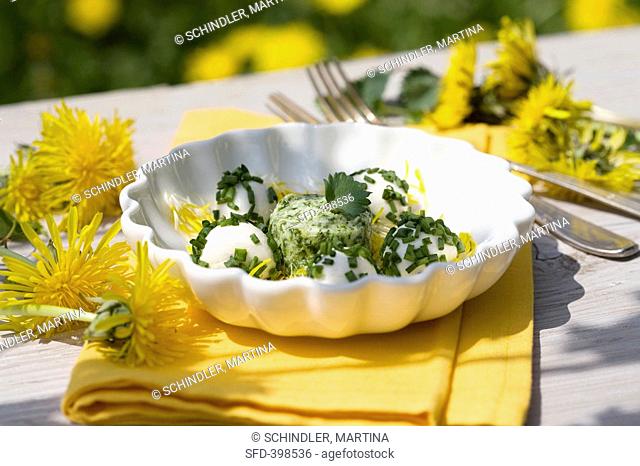 Mozzarella balls with chives, chervil and dandelion petals