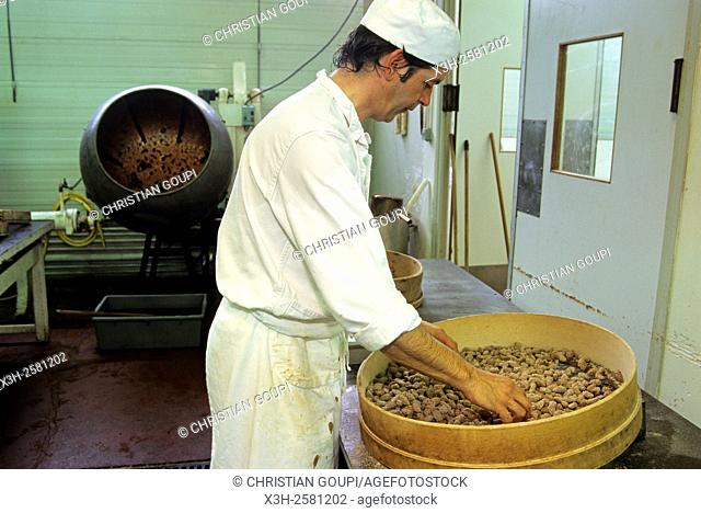 manufacturing process of pralines at Mazet candy store, Montargis, Loiret department, Centre-Val de Loire region, France, Europe
