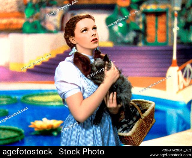 The Wizard of Oz  Year: 1939 USA Director: Victor Fleming Judy Garland Restricted to editorial use. See caption for more information about restrictions