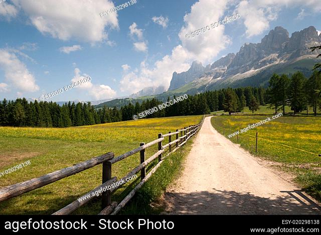 dirt road in South Tyrol