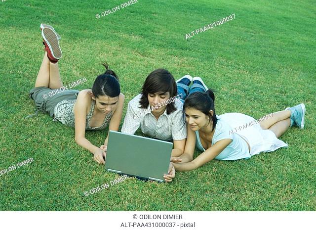 Group of young friends lying on grass, using laptop