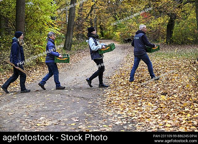 09 November 2023, Berlin: In a pilot project on Peacock Island, garden teams from the Prussian Palaces and Gardens Foundation Berlin-Brandenburg (SPSG) and...