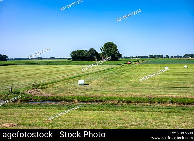 Green mowed farmland over blue sky, Vollenhove, The Netherlands