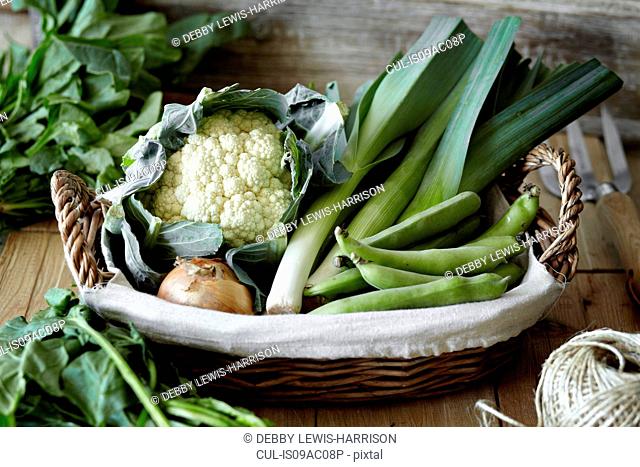 Selection of fresh vegetables in basket