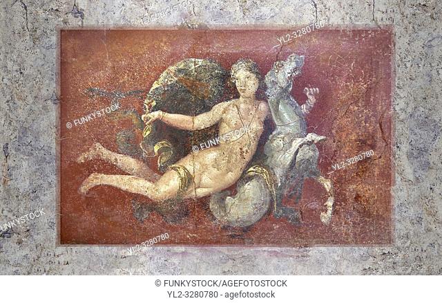 Roman fresco wall painting of a Nereid lying on a sea horse from the triclinium, a formal dining room, of the Villa Arianna (Adriana)