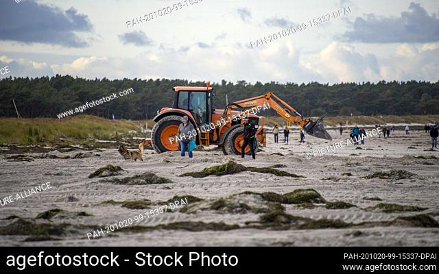 19 October 2020, Mecklenburg-Western Pomerania, Prerow: Dredgers push the seaweed back into the sea, which was washed onto the beaches with the first storm tide...