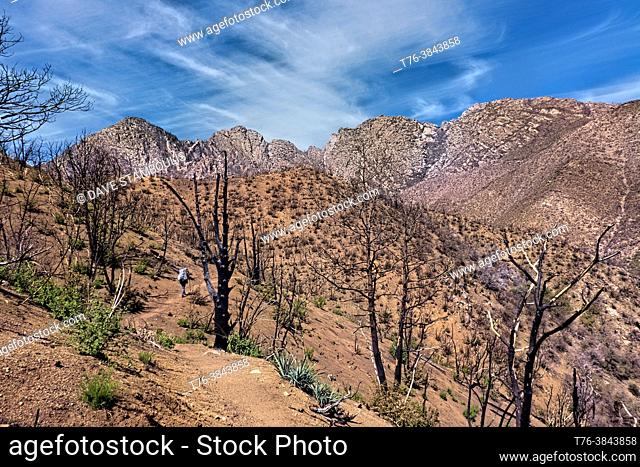 Backpacking the Four Peaks Wilderness, Tonto National Forest, Arizona, U. S. A