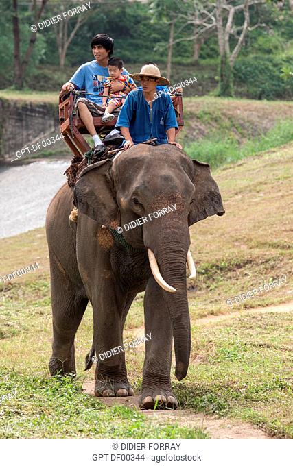TOURISTS RIDING ON THE BACKS OF ELEPHANTS, THAI ELEPHANT CONSERVATION CENTER OF LAMPANG, THAILAND, ASIA