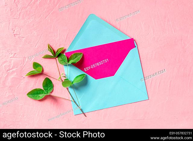Greeting card mockup with a green plant, shot from the top with copy space, in pink and blue