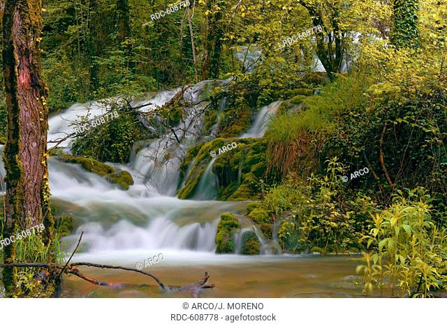 Urederra River, Urbasa Natural Park, Urederra river near its Source, Navarra, Baquedano, Navarre, Spain
