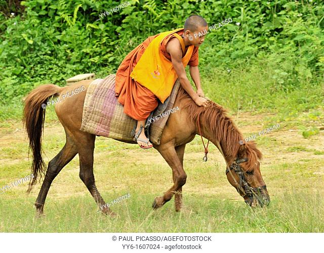 Novice and the horse on relaxation time, Wat Tam Pa Ar-Cha Thong, Maechan, Chiangrai, North of Thailand