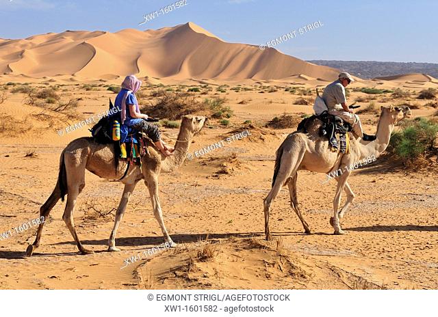 tourists riding camels in the Adrar Tekemberet, Immidir, Algeria, Sahara, North Africa