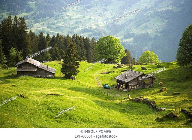 View over Bussalp 1800 m with a wooden house, Grindelwald, Bernese Oberland highlands, Canton of Bern, Switzerland