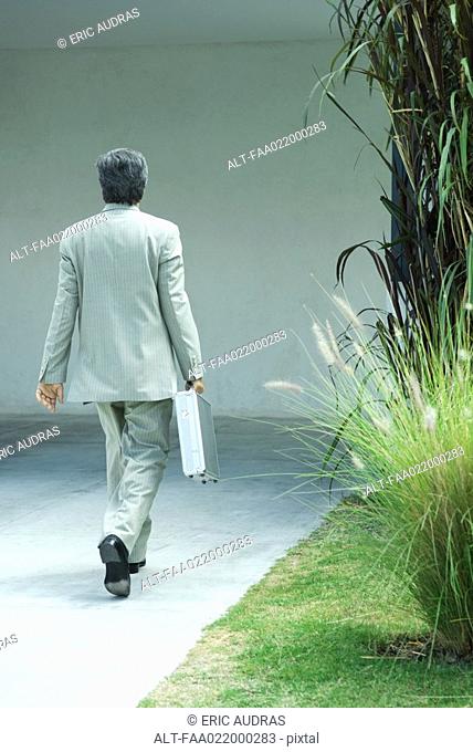 Businessman carrying briefcase, rear view, full length