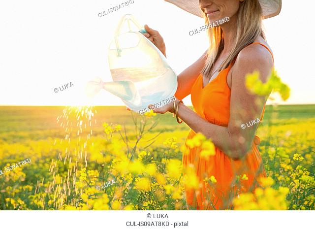 Cropped view of mid adult woman watering canola with transparent watering can