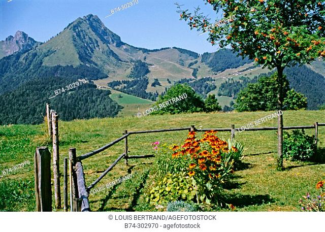 Val d'Abondance. Haute-Savoie. France