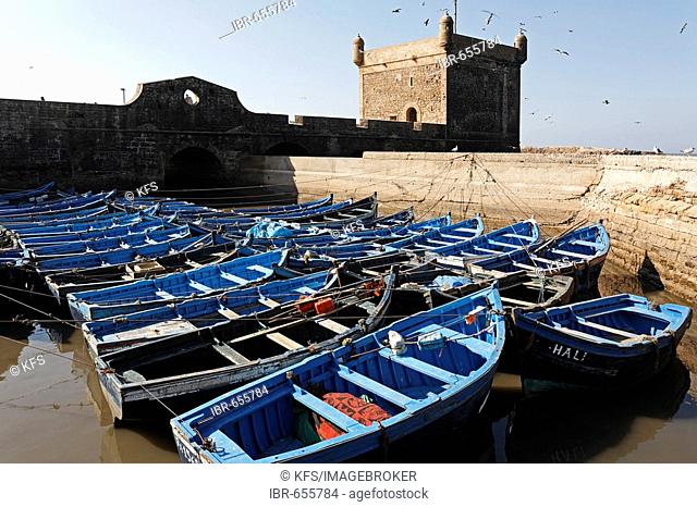 Blue fishing boats in front of Scala du Port Fortress, Essaouira, Morocco, Africa
