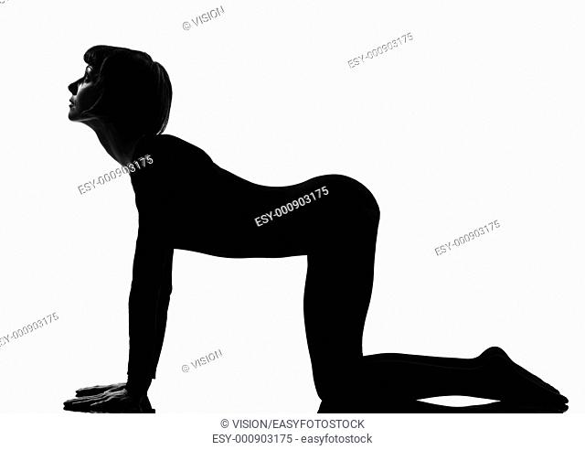 Bidalasana cat pose yoga woman posture position in silhouette on studio white background