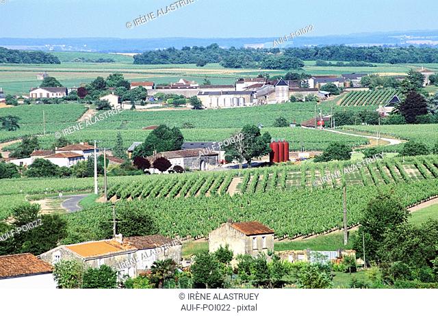 Charente - Grande Champagne - Bouteville