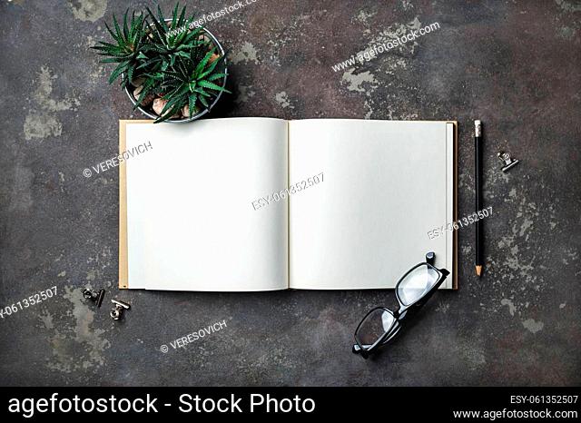 Blank open brochure, plant and stationery on concrete background. Flat lay