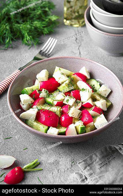 Radish, cucumber, kiwi, cheese and dill salad in a bowl on gray grunge concrete background. Seasonal Cooking, food styling. Raw foods concept