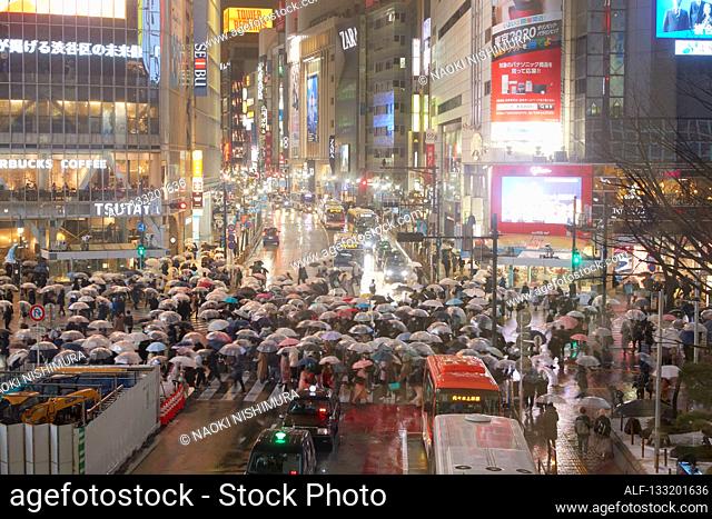 Streets In Tokyo At Night, Japan