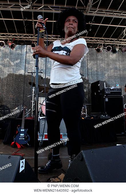 AfroPunk Festival 2014 at Commodore Barry Park - Day 2 - Performances Featuring: Tamar-Kali Where: Brooklyn, New York, United States When: 24 Aug 2014 Credit:...