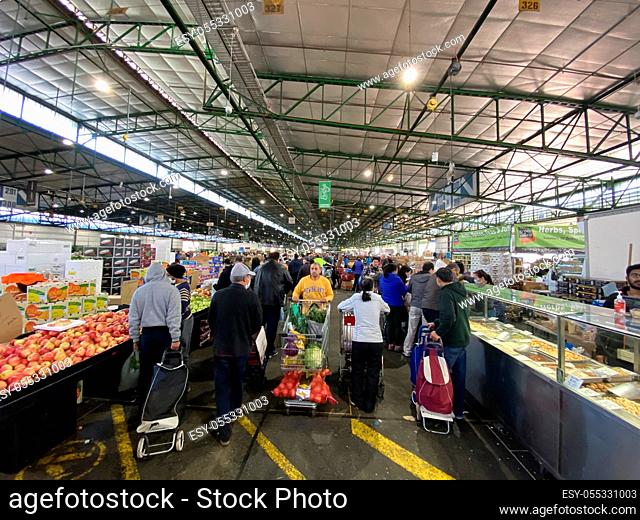Sydney, NSW / Australia - August 2 2020: Sydney Markets makes changes due to coronavirus. Pictured are shoppers Paddyâ