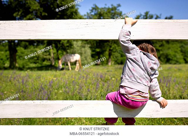 4-6 years old child sitting on white wooden fence and looking at a horse on the pasture