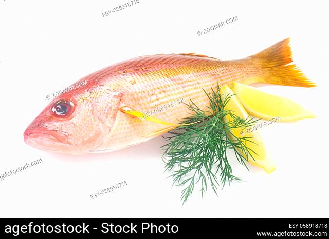 Whole Red Snapper Isolated On White