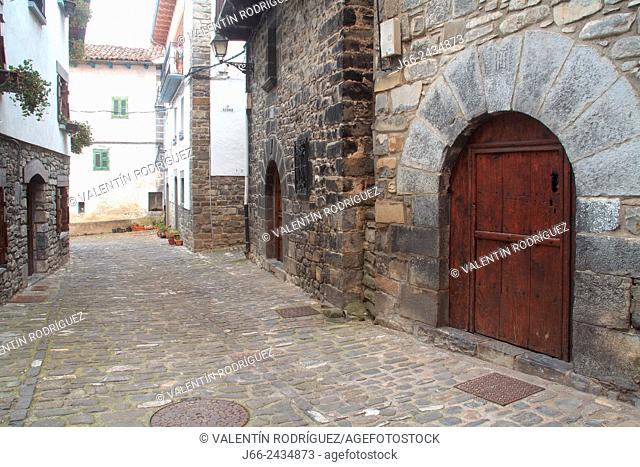 Street in the village of Roncal, Roncal valley, Navarre, Pyrenees Mountains, Spain