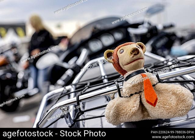 24 June 2022, Hamburg: A stuffed animal adorns the luggage rack of a motorcycle at the Harley Days event site. Europe's largest inner-city biker gathering...