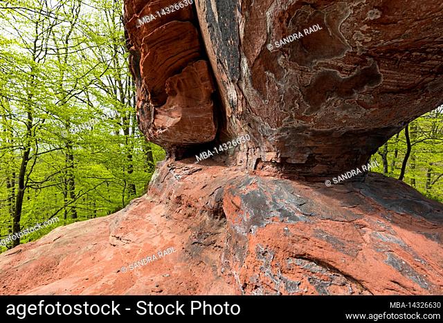 Pea rock, massif of red sandstone, deciduous forest in spring green, France, Lorraine, Département Moselle, Bitcherland, Regional Park Northern Vosges