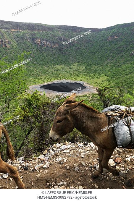 Ethiopia, Oromia, El Sod, Loaded donkeys passing up el sod volcano crater
