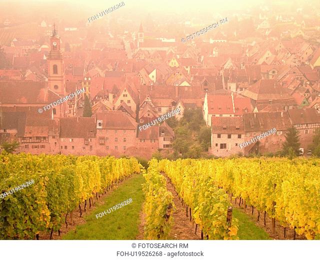 France, Europe, Alsace, Riquewihr, Haut-Rhin, L'Alsace Wine Region, Route du Vin, vineyards, village, fog