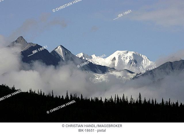 Clouds a dark forest and a snow covered mountain Alaska USA