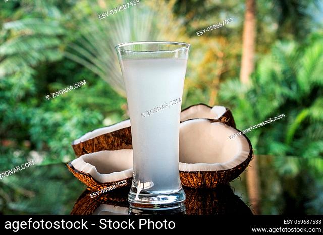 Closeup of coconuts and coconut water on the black glass table isolated over blurred palm trees background