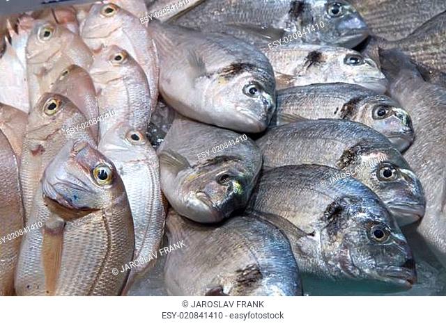 Assorted fish