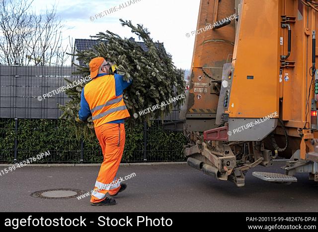 15 January 2020, Saxony-Anhalt, Magdeburg: Robert Küffen (26), employee of the waste management company in Magdeburg, throws a Christmas tree into a waste...