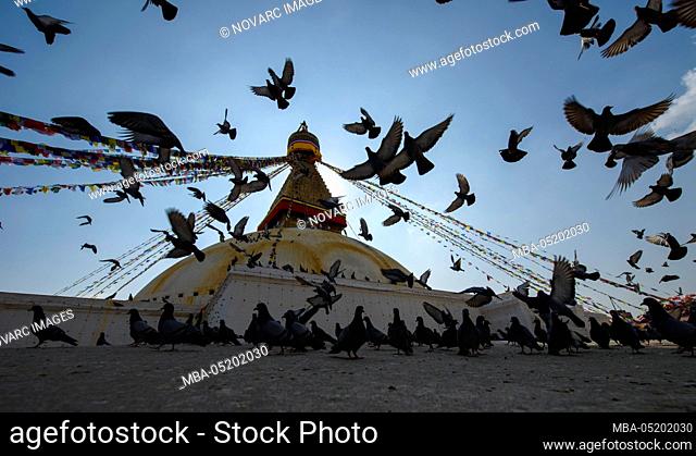 Flying doves at the stupa of Bodnath, Kathmandu, Nepal