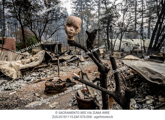 November 15, 2018 - Paradise, California, U.S. - A ceramic doll head is perched on a branch as one of the only remains infant of a burnt mobile home inside the...