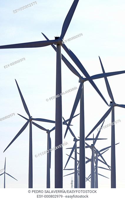 large group of windmills for renewable electric energy production in Belchite, Saragossa, Aragon, Spain