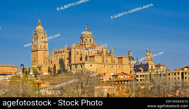 New and Old Cathedral of Salamanca, Cathedral of the Asunción de María, Gothic Renaissance Baroque Style, 16th-18th century
