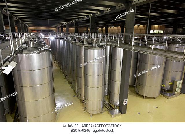 Hall for wine production. Juan Alcorta's Winery. Logroño. La Rioja. Spain