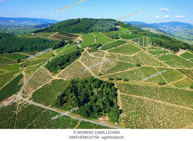 France, Rhone, Beaujolais, Mont Brouilly, vine aerial view
