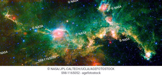 The Seagull nebula, seen in this infrared mosaic from NASA's Wide-field Infrared Survey Explorer, or WISE, draws its common name from it resemblance to a gull...