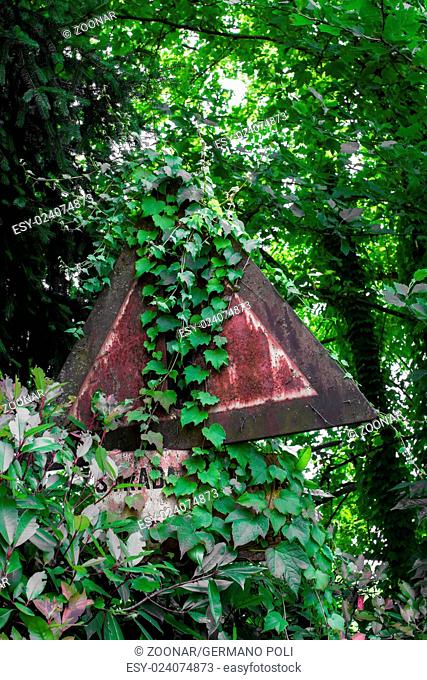 Road sign overgrown