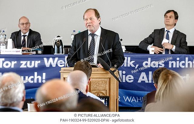 24 March 2019, Hamburg: Dirk Nockemann (AfD, M), state chairman and faction leader in the parliament, speaks at the state party conference of the Alternative...