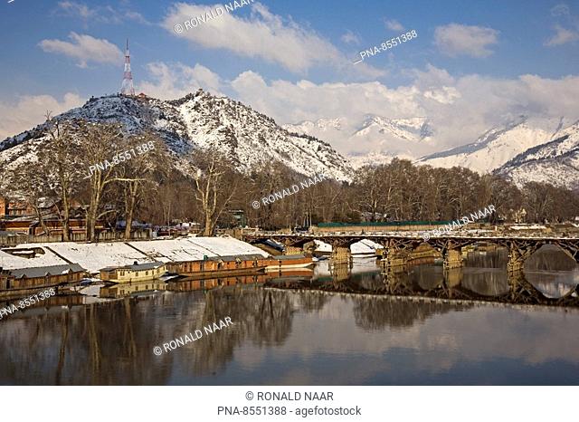 The floating market of Srinagar, capital of Kashmir, on the Jhelum river, India. This is a 'village' of so-called house boats for foreigners and tourists where...