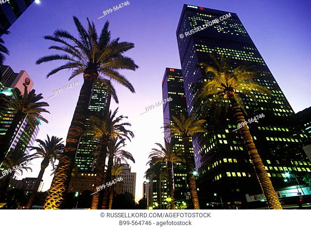 Palm Trees, Figueroa Street, Downtown, Los Angeles, California, Usa